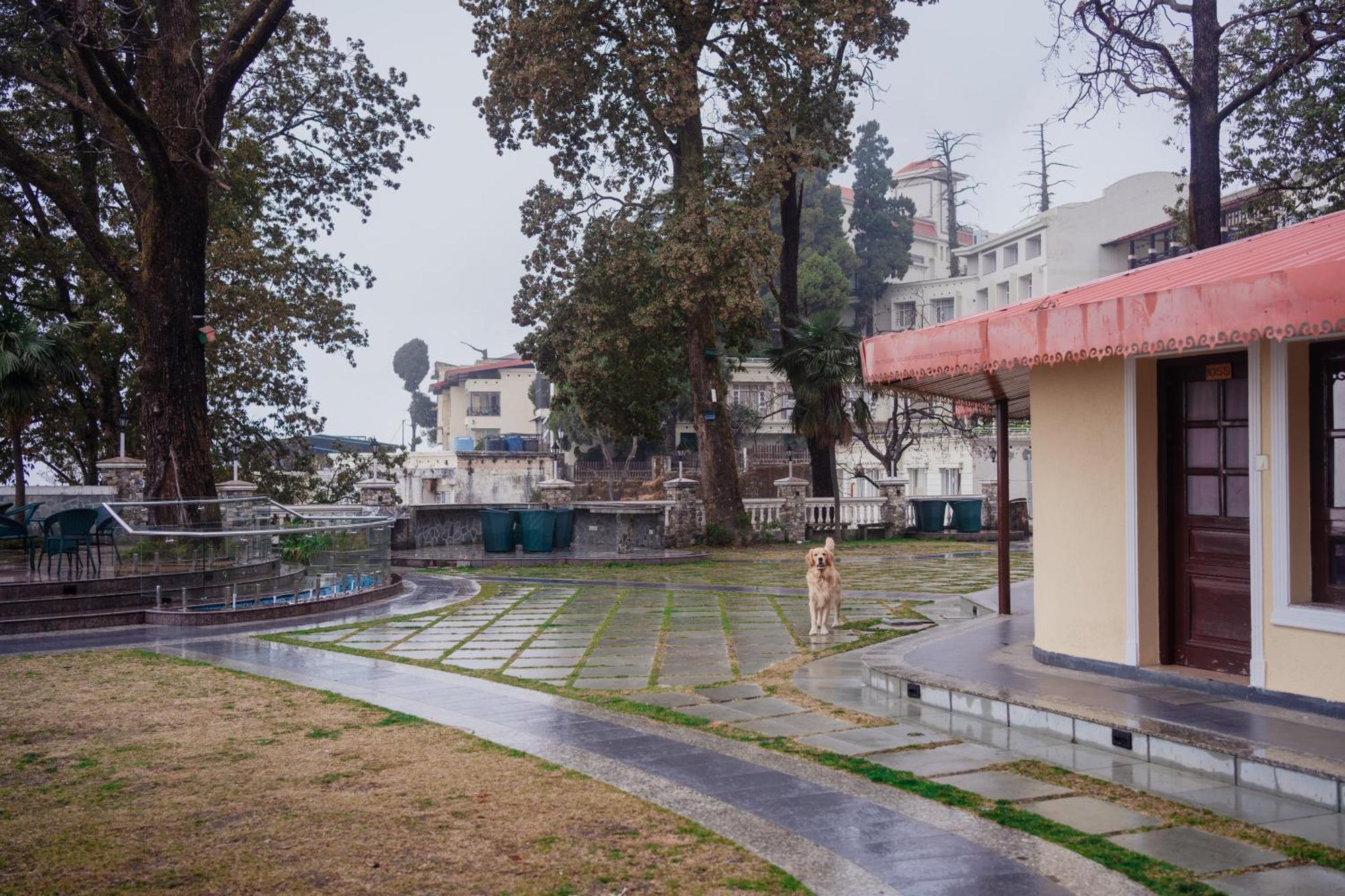 Bliss & Company By Hnh Hotel Mussoorie Exterior photo